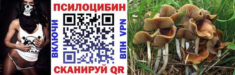 Псилоцибиновые грибы Psilocybine cubensis  Кукмор 